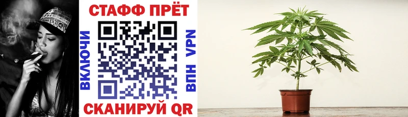 Продажа наркотиков Грязовец МЕТАМФЕТАМИН  Галлюциногенные грибы  Гашиш  Альфа ПВП  Меф  Амфетамин 