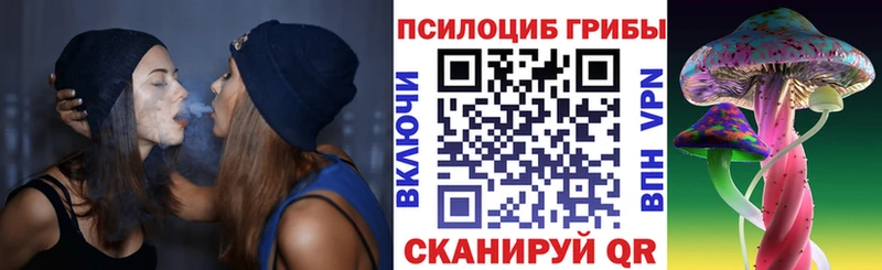 Галлюциногенные грибы Psilocybine cubensis купить закладку Грязовец