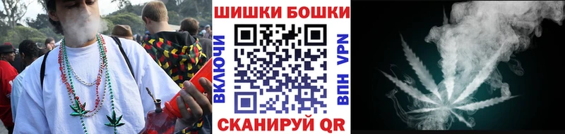 Марихуана White Widow где найти Грязовец