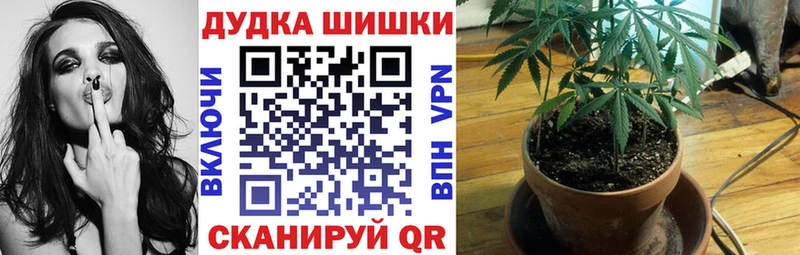 Бошки марихуана сатива Грязовец